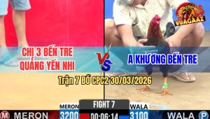 Trận 7 Bồ CPC2 30/3/2026 - Que Mã Lại Đá Đâm Như Giang Hồ Điều Xỉu Tuyệt Đối Rinh Ra