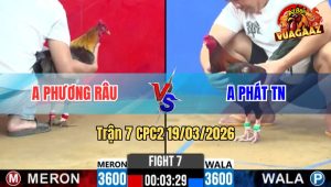 Tran 7 CPC2 19032026 Xanh Da Do Muon Xiu Do Da Lai Xanh Sup Can