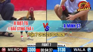 Trận 7 CPC2 25/03/2026 - 2 Idol Bảo Sting Và Minh Lý Va Nhau Và Cái Kết Phút 90