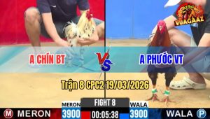 Tran 8 CPC2 19032026 Dieu Da Buom Muon Hu Xong bo Kieng Bat Ngo