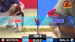 Tran 8 CPC2 20032026 Do Da Xanh Oi Xanh Da Lai Do Nam Vua Du Diem Ve 1