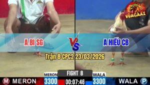 Trận 8 CPC2 23/03/2026 - Điều Canh Chặn Đâm Bớm 1 Cặp Chết Tại Chỗ