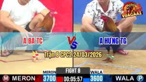 Trận 8 CPC2 24/03/2026 - Điều Đá Xanh Hư Hình Sau Mấy Đá Que Chạy Bung Bồ