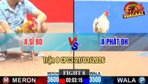 Trận 8 CPC3 21/03/2026 - Cú Cọp Anh Sĩ Đá Đúng 1 Chân Bướm Té Tuyệt Đối