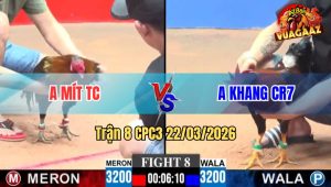Trận 8 CPC3 22/03/2026 - Chuối Chưa Thả Đá Ăn 6 Buông Ra Xám Đá Cái Đầu Chảy Máu