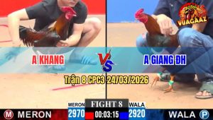 Trận 8 CPC3 24/03/2026 - Gà Xanh Đá Như Chĩa Khang CR7 Bưng Gà Ra Sân