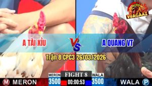 Trận 8 CPC3 26/03/2026 - Bướm Đâm Lọt Cặp Ngực Điều Chết Tại Mức