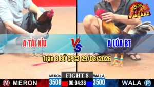Trận 8 CPC3 29/03/2026 - Xám Đá Đúng 1 Chân Bưng Gà Que Ra Sân Lập Tức