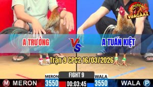 Trận 9 CPC2 16/03/2026 - Xám Đá Như Xe Đụng Đâm Cú Bung Bồ Sau Mấy Đá