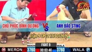 Trận 9 CPC2 17/03/2026 - Điều Cọp Chú Phúc Đá Cây Lọt Đâm Bướm Idol Bay Bồ