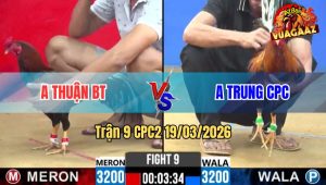 Tran 9 CPC2 19032026 Dieu Da Que Lay Tien Mua Xe