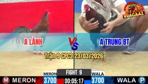 Trận 9 CPC2 23/03/2026 - Điều Đui Lao Đá Chân Nào Cũng Đâm Hạ Đẹp Đối Thủ