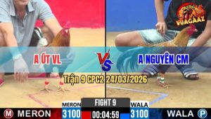 Trận 9 CPC2 24/03/2026 - Điều Đá Cây Quá Nghiệt Cú Té Tuyệt Đối Hết Sửa