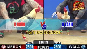 Trận 9 CPC2 25/03/2026 - Chuối Nhập Canh Tán 1 Cây Bướm Giãy Đành Đạch