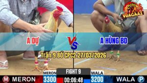 Trận 9 CPC2 27/03/2026 - Chuối Chưa Thả Đá Bạc Ăn 5 Buông Ra Cú Đá Mấy Chân Gãy Dò
