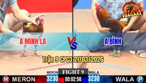 Trận 9 CPC3 21/03/2026 - Xanh Vô Dàn Nạp Nóng Lạnh Đỏ Vào Kính Té Xe