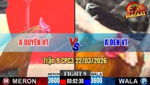 Trận 9 CPC3 22/03/2026 - Điều Cọp Anh Quyền Đá Mấy Chân Đâm Xanh Gãy Dò Thua Nhanh Lẹ