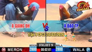 Trận 9 CPC3 24/03/2026 - Xanh Đá Đâm Như Chĩa Đỏ Sặc Cần Ói Hết Cứu