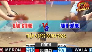 Trận 09 CPC2 06/03/2026