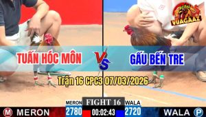 Trận 16 CPC3 07/03/2026