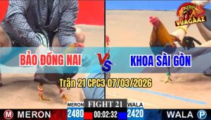 Trận 21 CPC3 07/03/2026