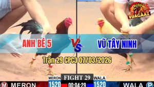 Trận 29 CPC3 07/03/2026