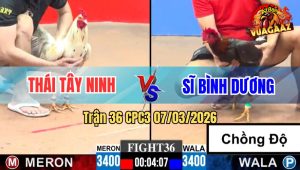 Trận 36 CPC3 07/03/2026