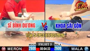Trận 5 CPC3 07/03/2026