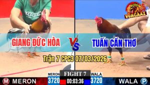 Trận 7 CPC3 07/03/2026