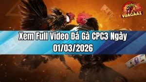 Xem Full Video Đá Gà CPC3 Ngày 01/03/2026