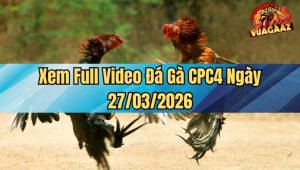 Xem Full Video Đá Gà CPC4 Ngày 27/03/2026