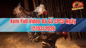 Xem Full Video Đá Gà CPC5 Ngày 12/03/2026