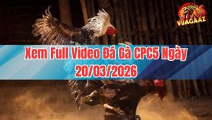 Xem Full Video Đá Gà CPC5 Ngày 20/03/2026
