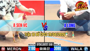 Trận 10 CPC3 19/04/2026 - Anh Long Hạ Anh Sen VC Nhanh Gọn