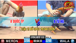 Trận 11 CPC3 19/04/2026 - Gà Anh Quốc TP Có Chân Phản Đòn Phút Chót