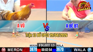 Trận 13 CPC3 19/04/2026 - Anh Vũ Vs Anh Bé Bến Tre, Đá Xổ 500 Triệu