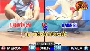 Trận 16 CPC3 19/04/2026 - Anh Vinh BL Có Chân Cựa Quá Tịch