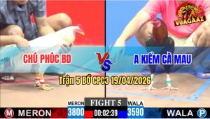 Trận 5 CPC3 19/04/2026 - Chú Phúc Bình Dương Tái Xuất Giang Hồ
