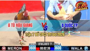 Trận 7 CPC3 19/04/2026 - Anh Tú Hậu Giang Hạ Đối Thủ Nhanh Gọn