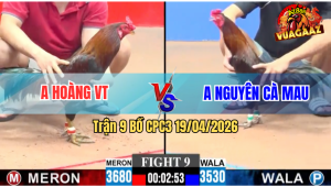 Trận 9 CPC3 19/04/2026 - Gà Anh Hoàng Vũng Tàu Đâm Như Giang Hồ