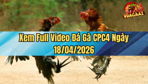 Xem Full Video Đá Gà CPC4 Ngày 18/04/2026