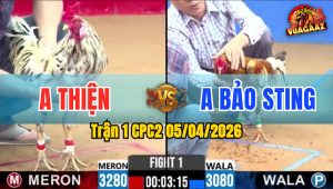 Trận 1 CPC2 05/04/2026 - Chuối Idol Quá Đâm Khét Hư Hình La Miệng