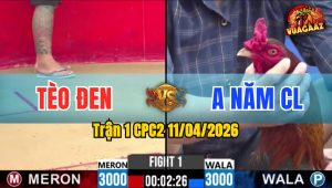 Trận 1 CPC2 11/04/2026 - Bướm Đá Điều Hết Đứng Rồi Qay Đầu Bỏ Chạy