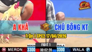 Trận 1 CPC2 17/04/2026 - Điều Vàng Giao Nạp Quá Hay Bướm Nằm Chỉ 1 Tay Nước