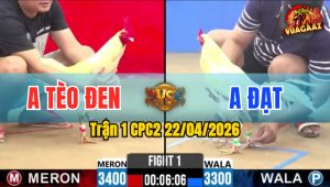 Trận 1 CPC2 22/04/2026 - Gà Bướm Anh Tèo Đan Lê Mở Bát Quá Mát Tay