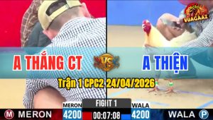 Trận 1 CPC2 24/04/2026 - Gà Úa Chưa Gì Dí Bạc Ăn 6 Và Cái Kết