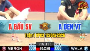 Trận 1 CPC3 12/04/2026 - BƯỚM ĐÂM MẤY CHÂN ÚA KÊU MIỆNG CHỊU THUA