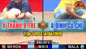 Trận 1 CPC3 14/04/2026 - Bướm Hạ Úa Chưa Tới 3 Chân