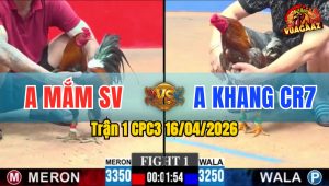 Trận 1 CPC3 16/04/2026 - Điều Đá Mấy Chân Xám Hư Hình  Hết Đứng