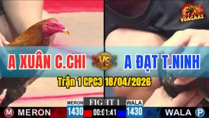 Trận 1 CPC3 18/04/2026 - Đỏ Đâm Quá Đâm  Hạ Xanh Sau Vài Chân